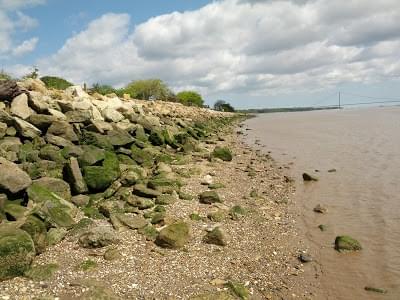 North Ferriby Shoreline looking North